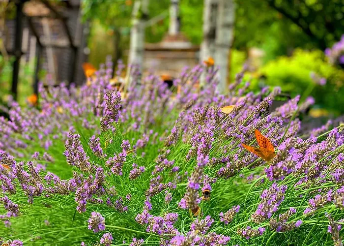 Villa Panorama Pool Balatonfured